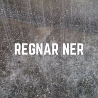 Regnar Ner