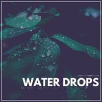 Water Drops