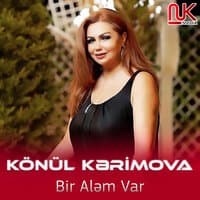 Bir Aləm Var