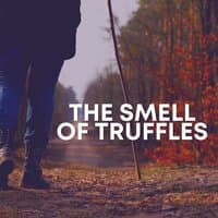 The Smell of Truffles