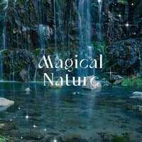 Magical Nature