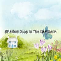 57 Mind Drop in the Bedroom