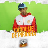 Cardume de Piranha