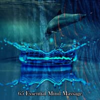 65 Essential Mind Massage