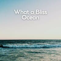 What a Bliss Ocean