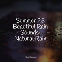 Summer 25 Beautiful Rain Sounds: Natural Rain