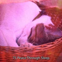 75 Peace Through Sleep