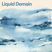 Liquid Domain