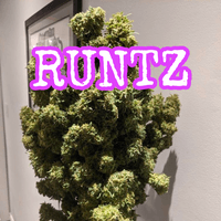 RUNTZ