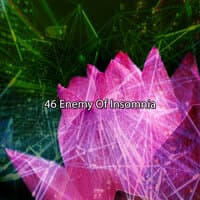 46 Enemy of Insomnia