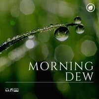 Morning Dew