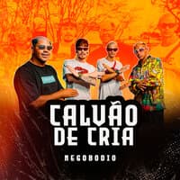 Calvão de Cria