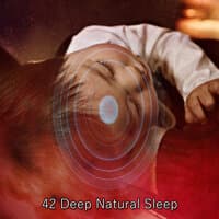 42 Deep Natural Sleep