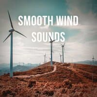 1 Hour of Smooth Wind Sounds to Fall Asleep