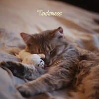 Tenderness