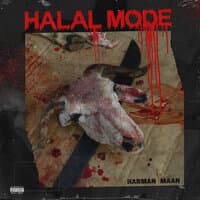 Halal Mode