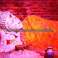 77 Calming Sounds For Meditation