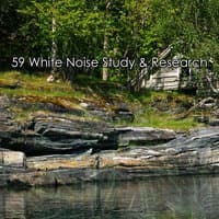 59 White Noise Study & Research