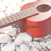 9 Beber Espanol Guitar