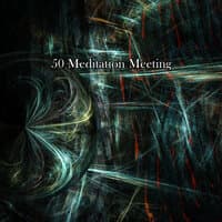 50 Meditation Meeting