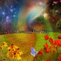 59 Rewarding Your Sleep