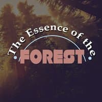 The Essence of the Forest