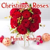 Christmas Roses