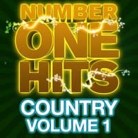 Number One Hits: Country Vol. 1