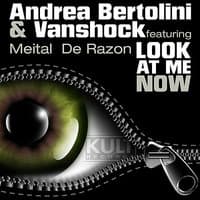 Andrea Bertolini & Vanshock - Look at me now