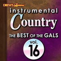 Instrumental Country: The Best of the Gals, Vol. 16