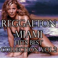 Reggaeton Miami Hits Best Collection, Vol.2