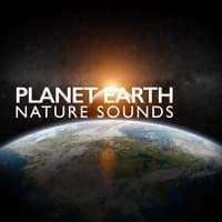 Planet Earth: Nature Sounds