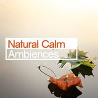 Natural Calm Ambiences