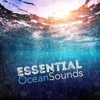 Essential Ocean Sounds