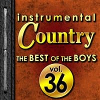 Instrumental Country: The Best of the Boys, Vol. 36