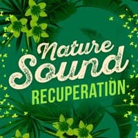 Nature Sound Recuperation