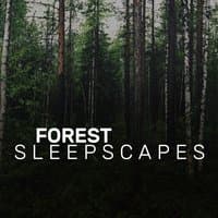 Forest Sleepscapes