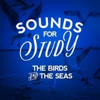 Sounds for Study: The Birds and the Seas