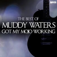 Got My Mojo Working - The Best of Muddy Waters