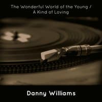 The Wonderful World of the Young / A Kind of Loving