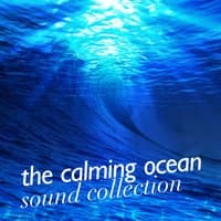 The Calming Ocean Sound Collection