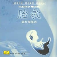 Music for Pregnant Women