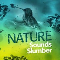 Nature Sounds Slumber