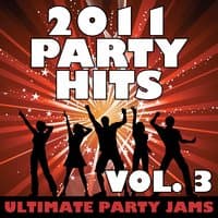 2011 Party Hits Vol. 3