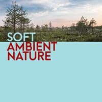 Soft Ambient Nature