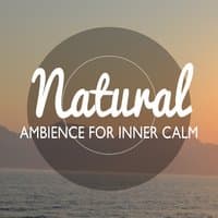 Natural Ambience for Inner Calm