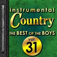 Instrumental Country: The Best of the Boys, Vol. 31