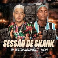 Sessão de Skanke