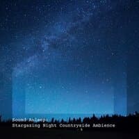 Sound Asleep: Stargazing Night Countryside Ambience