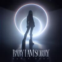 Baby I Am Sorry